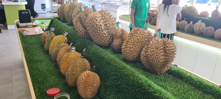 Durian in Bali