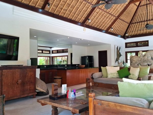 Villa-Damai-Living-Room-2-scaled-1.jpg
